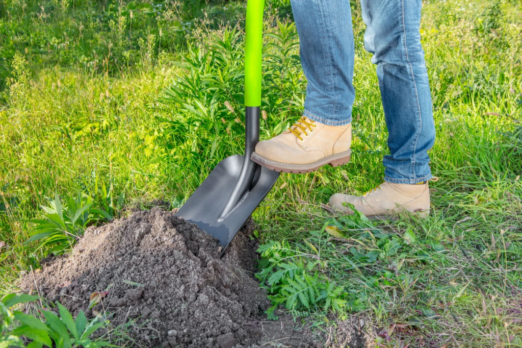 a person standing in the grass