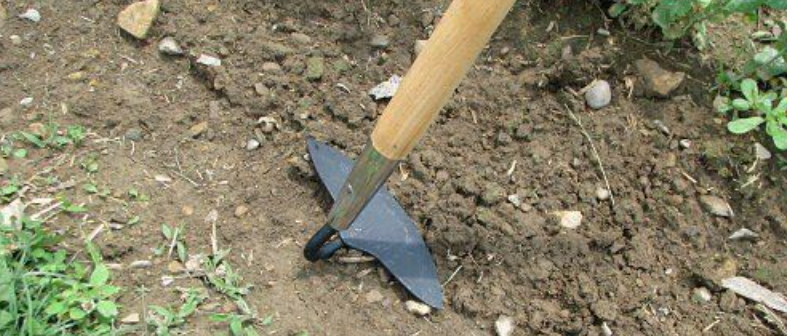 a knife sitting on top of a dirt field